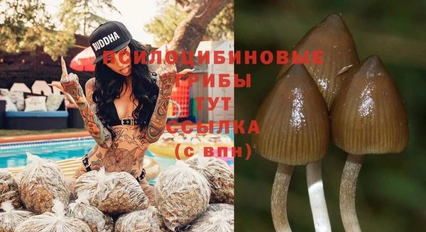 сатива Вязьма