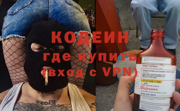 прущие грибы Вязники