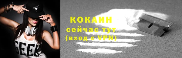 прущие грибы Вязники