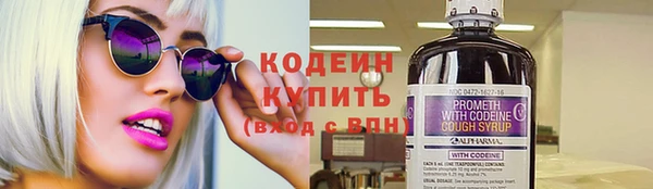 прущие грибы Вязники