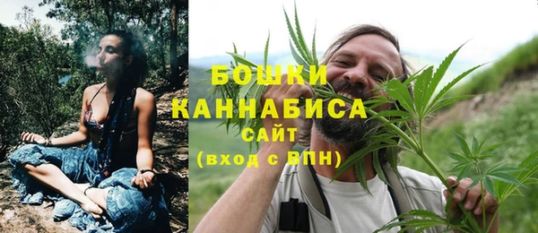сатива Вязьма