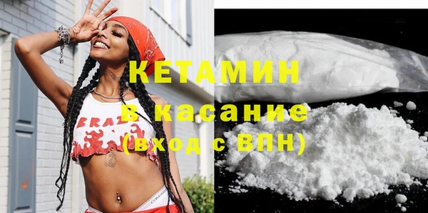 сатива Вязьма
