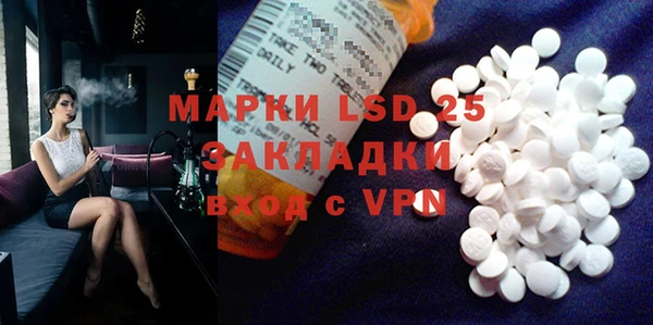 прущие грибы Вязники