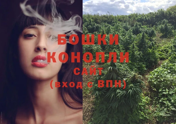 прущие грибы Вязники
