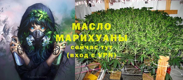 сатива Вязьма