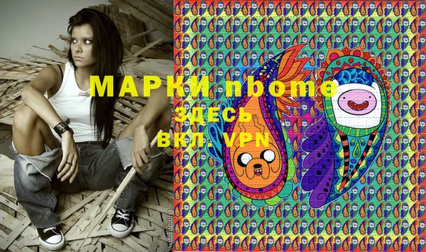 прущие грибы Вязники