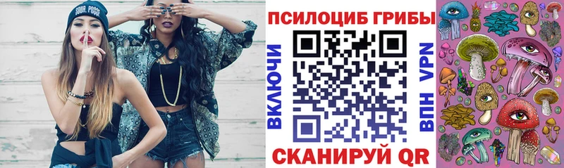 Псилоцибиновые грибы мухоморы  закладка  Татарск 